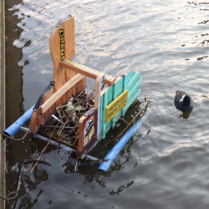 Meerkoetminderafval 1